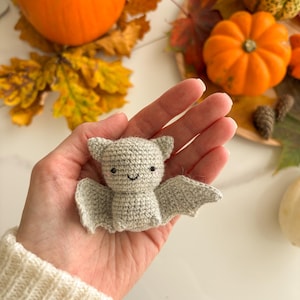 Op de afbeelding: Een kleine, lichtgrijze gehaakte vleermuis knuffel met puntige oren, uitgestrekte vleugels en een geborduurd gezicht met twee zwarte kraaloogjes, een eenvoudig gebogen mondje en roze blosjes op de wangen, gemaakt van gestructureerd garen.