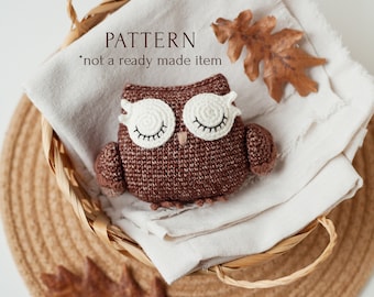 Amigurumi Owl Crochet Pattern, Woodland Forest Bird Soft Toy Instruction, Pocket Toy Instant Download PDF Tutorial, Easy to Follow