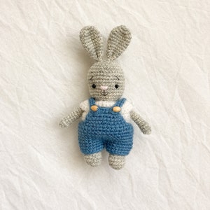 Crochet Pattern Rabbit in Overalls Outfit, VIDEO, Amigurumi Crochet Bunny, Crochet Toy, Tutorial ...