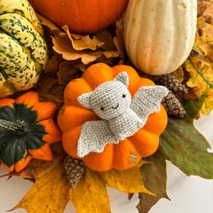 Op de afbeelding: Een kleine, lichtgrijze gehaakte vleermuis knuffel met zwarte kraaloogjes en een geborduurde glimlach, rustend op een feloranje pompoen omringd door diverse kalebassen, dennenappels en gedroogde herfstbladeren in tinten geel, oranje en bruin.