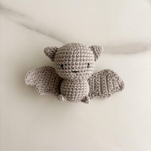 Op de afbeelding: Een kleine, lichtgrijze gehaakte vleermuis knuffel. Het handgemaakte figuurtje heeft een ronde kop met puntige oortjes, twee wijd uitgestrekte vleugels en een compact lichaam. Het heeft eenvoudige geborduurde details met zwarte draad.