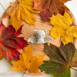 Op de afbeelding: Een kleine, lichtgrijze gehaakte vleermuis knuffel met zwarte geborduurde ogen en een eenvoudige glimlach, geplaatst in het midden van een ronde houten plank omringd door een cirkelvormige opstelling van herfstachtige esdoornbladeren in rood, oranje en geel.