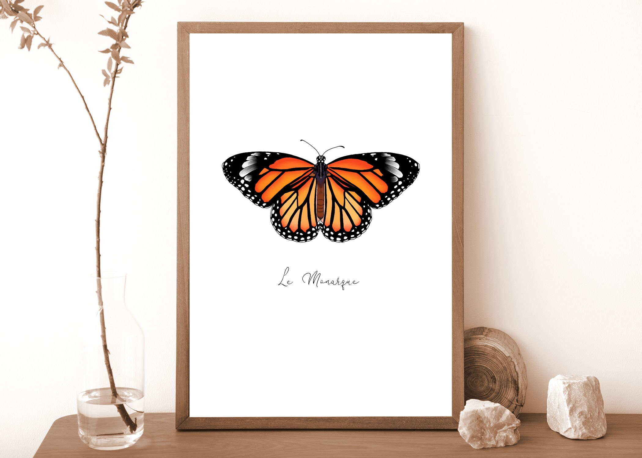 Papillon Monarque