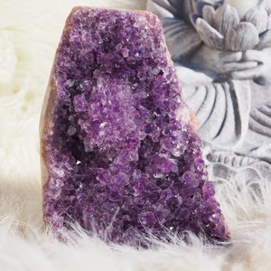 Amethyst Cut Base - Amethyst Flower Cluster - Metaphysical Crystal
