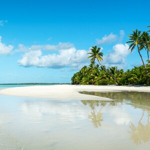 Tropical Reflections