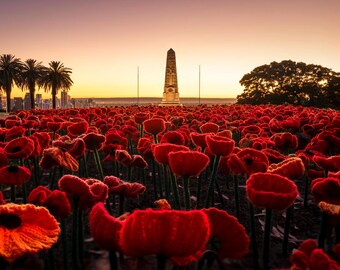Sea of Remembrance: 62,000 Poppies in Kings Park Perth Western Australia State War Memorial