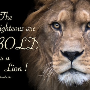 BOLD as a Lion !