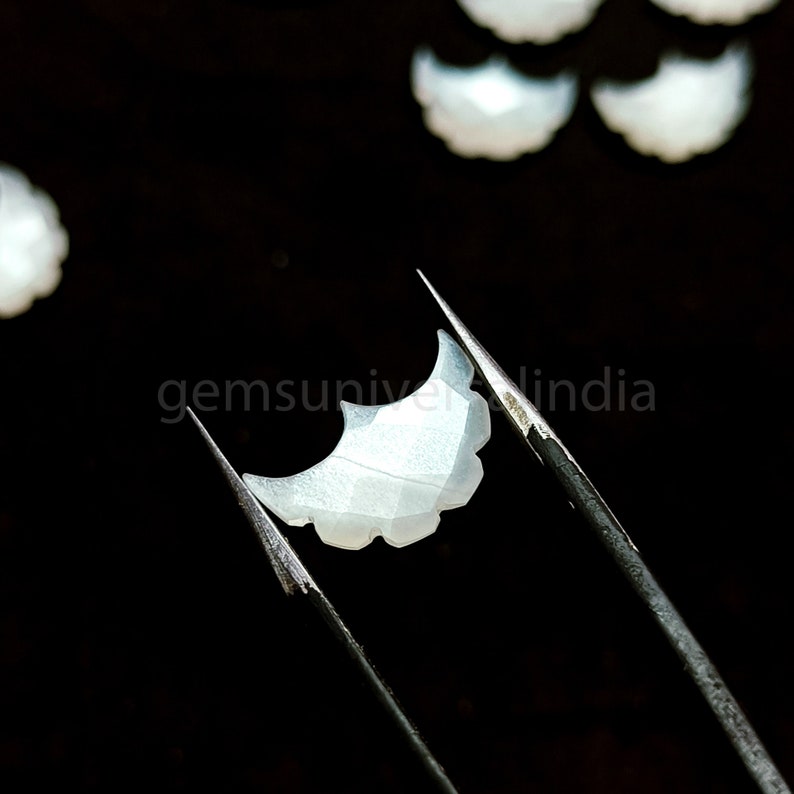 May include: A white, iridescent, crescent-shaped shell with a scalloped edge, held by tweezers against a black background. The shell has a delicate, textured surface.