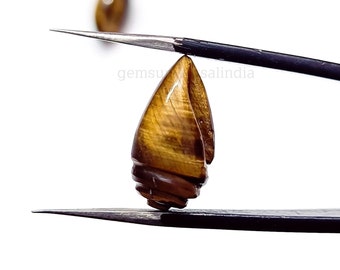 Dijes de concha de ojo de tigre natural para collar, cuentas de concha talladas para joyería, cristales curativos de 18 mm, cuentas de piedras preciosas talladas