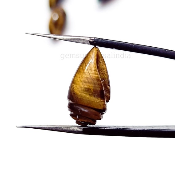 Tiger eye shell discount