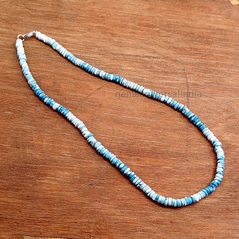 May include: A blue and white beaded necklace with a silver clasp. The beads are small and round, and they are arranged in a pattern that resembles a wave.