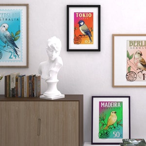 Arte de coleccionista de sellos, arte de pared Ssamp de aves silvestres del mundo. ¡5 sellos en el set! Para amantes de las aves, coleccionistas de sellos y gente divertida.