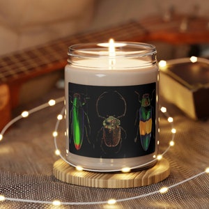 Bug Candle, a Men&#39;s Candle gift. A cool bug beetles candle, all natural w/ essential oils, soy wax, non-toxic, glass jar! Come &#39;n See!