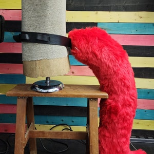 Large cat tail