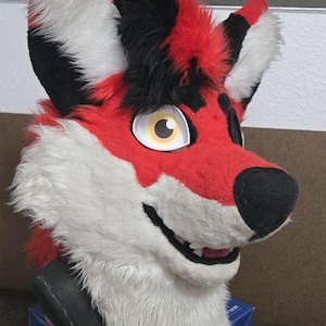Fursuit eyes