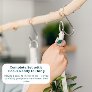 May include: A plant hanger with a white rope, held by a hand. The hanger is attached to a wooden branch with a metal hook. The image includes the text "Complete Set with Hooks Ready to Hang".