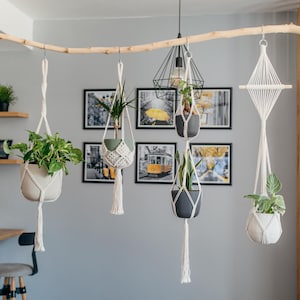 May include: A collection of hanging planters with green plants. The planters are suspended from a natural wooden branch and feature macrame and woven designs. The pots are in shades of white, gray, and green, creating a modern, bohemian aesthetic.