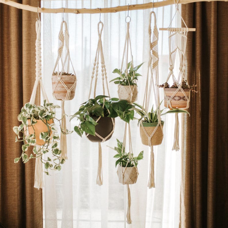 May include: A collection of hanging macrame plant holders with various potted plants. The holders are suspended from a wooden branch, showcasing a variety of textures and designs. The plants feature lush green foliage, adding a natural element to the display.