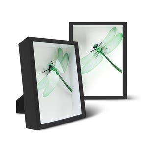 May include: Two framed artworks featuring dragonflies. Each piece showcases a green and white dragonfly set against a white backdrop, within a black frame. The dragonfly's wings are translucent, and the frames are angled differently.