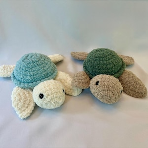 Tommy Turtle