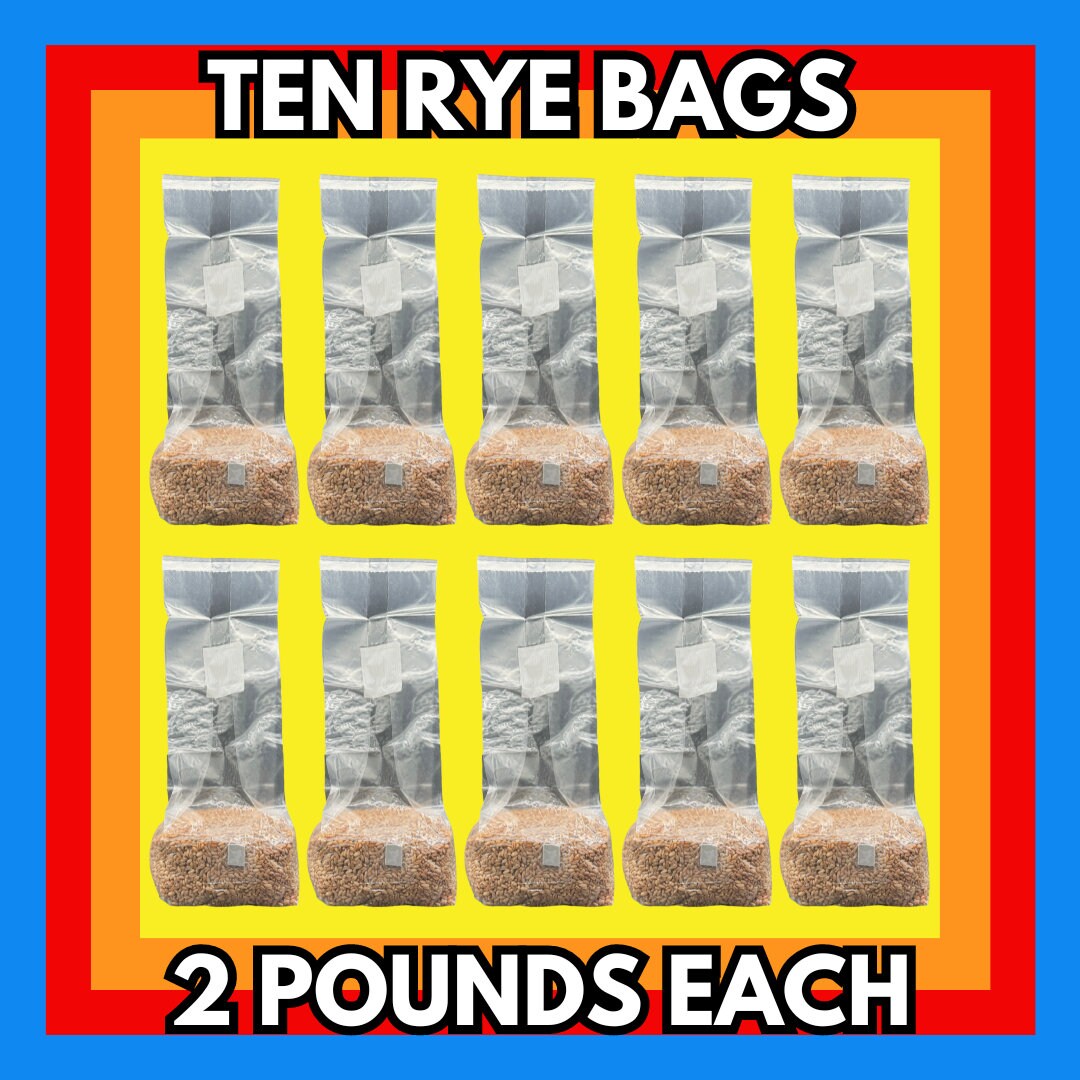 10 X 2 Pound Organic Rye Berry Spawn Bags Sterilized Grains for