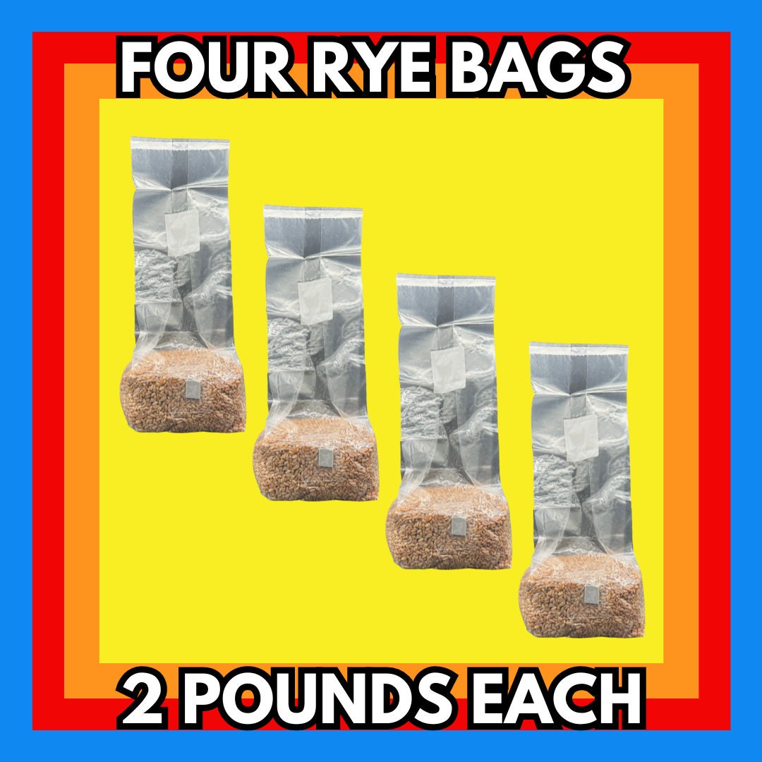 4 X 2 Pound Organic Rye Berry Spawn Bags Sterilized Grains for Mushroom