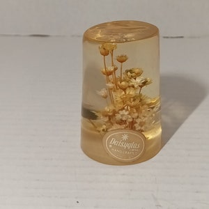 Daisyglas Paperweight Vintage Lucite Real Dried Flowers Butterfly Decorative