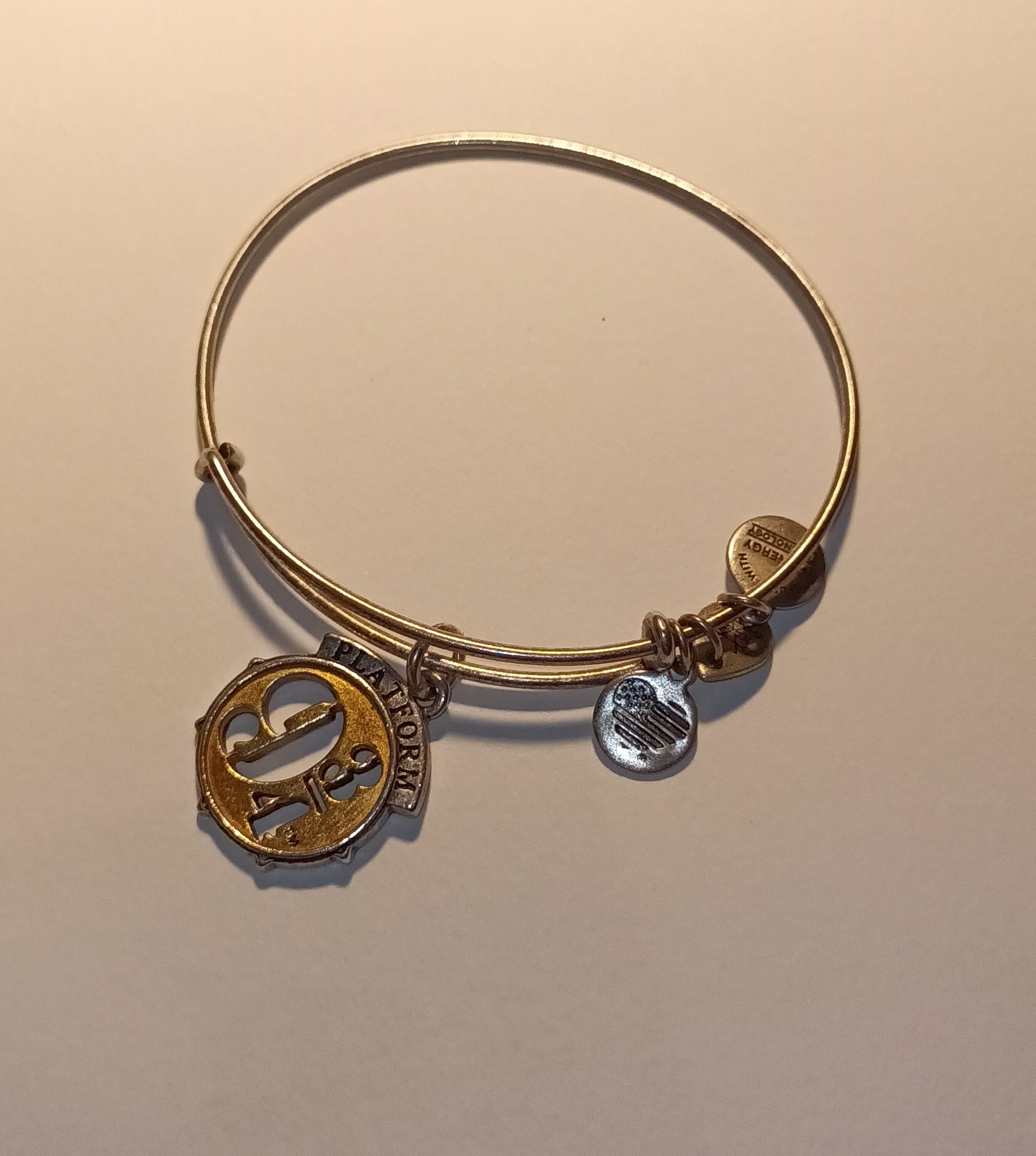 Gold Bracelet Alex And Ani Frog Prince Bracelet Alex Ani Jewelry