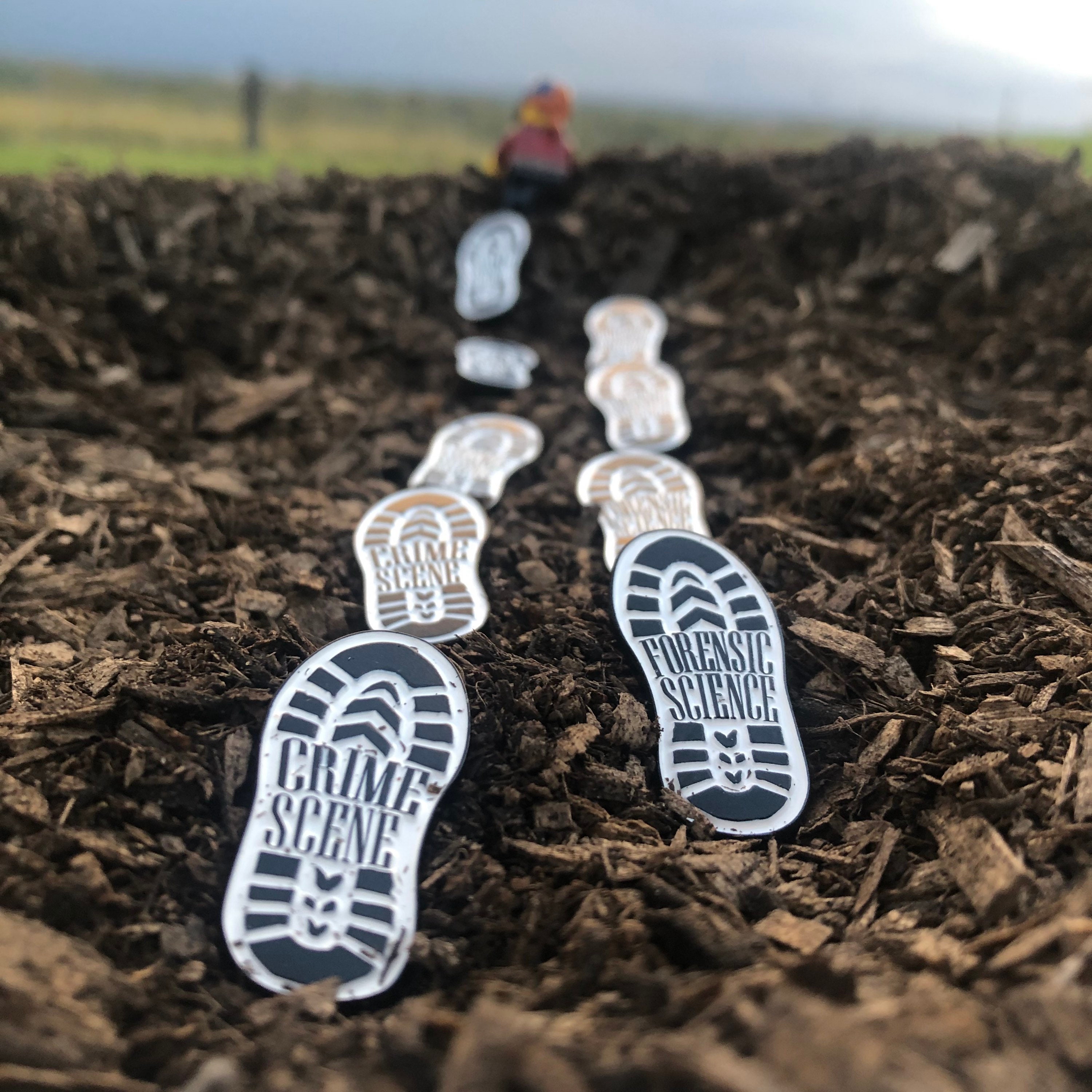 Forensic Science & Crime Scene Footwear Impressions Soft Etsy UK