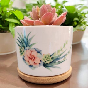 May include: A white ceramic succulent planter with a floral design featuring pink, green, and blue flowers. The planter has a wooden base.