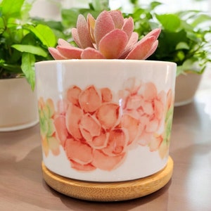 May include: A white ceramic planter with a floral design featuring pink and green watercolor flowers. The planter has a wooden base and is filled with a pink succulent plant.