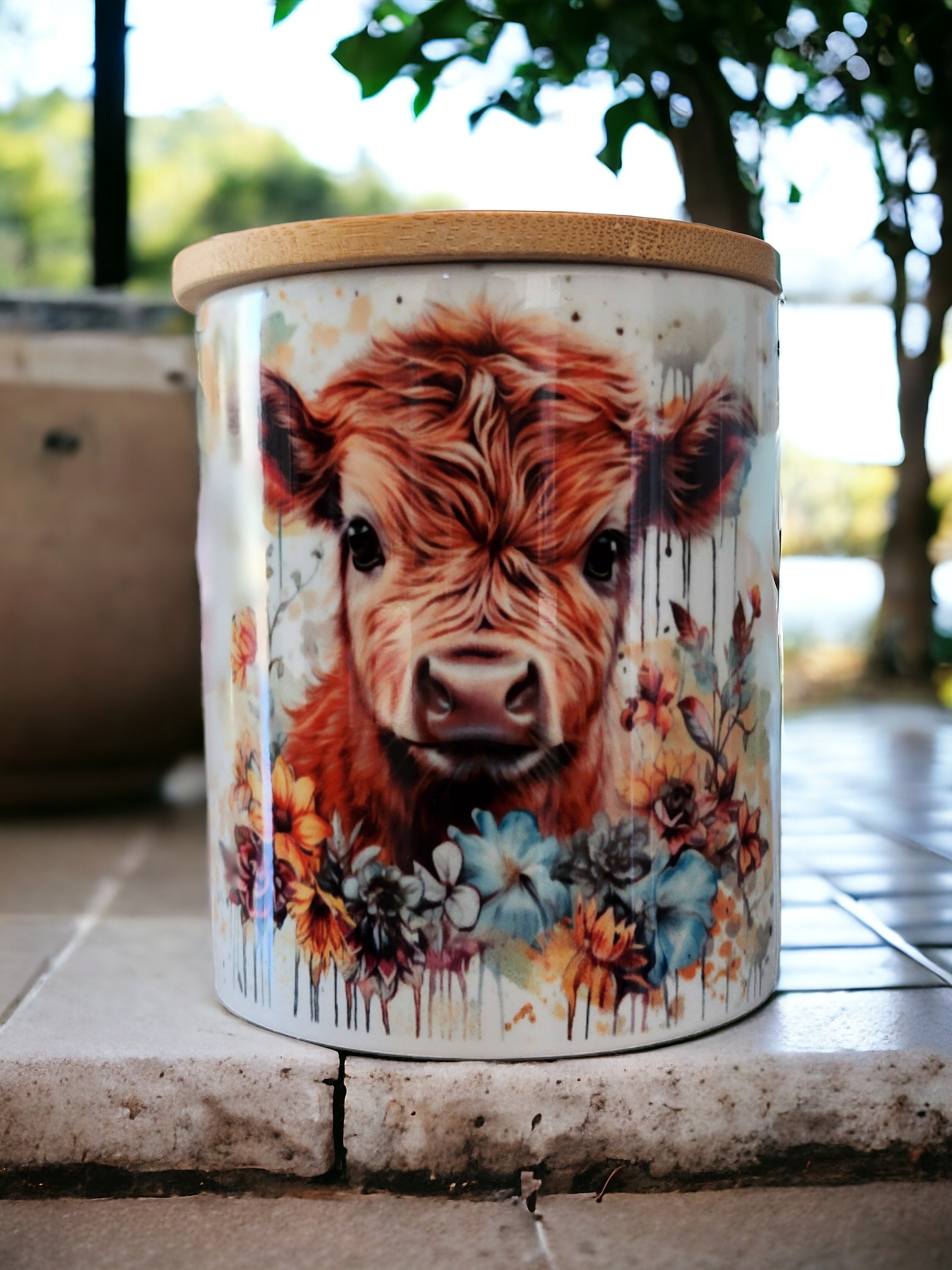 Cow Canisters Australia