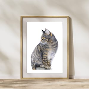 Original Fineart Zeichnung, Katze, Realistic Animals, handgezeichnet, Buntstift, Kunst, A4,