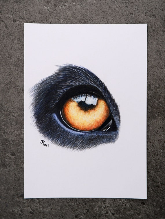 Original Fineart Drawing Eye Animal Study Shepherd - Etsy Original Fineart Drawing Eye Animal Study Shepherd - Etsy