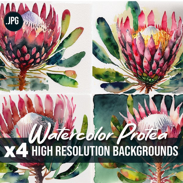 Protea Flower Watercolor Paintings, Bundle of 4 Art Prints, Theme Digital Canvas Painting, Home Crafts, Commercial Use Digital Download