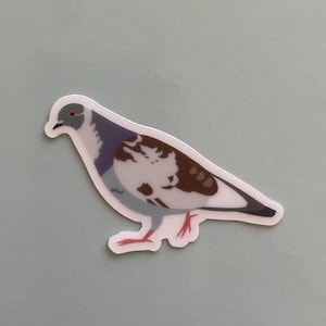 Pigeon Sticker, Joyful Unique Walking Pigeon, One of a Kind, Clear Decal, 2 inches, Pigeon Gift