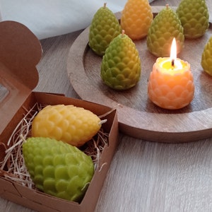 New hits! Delicate pine cones 100% beeswax natural gift