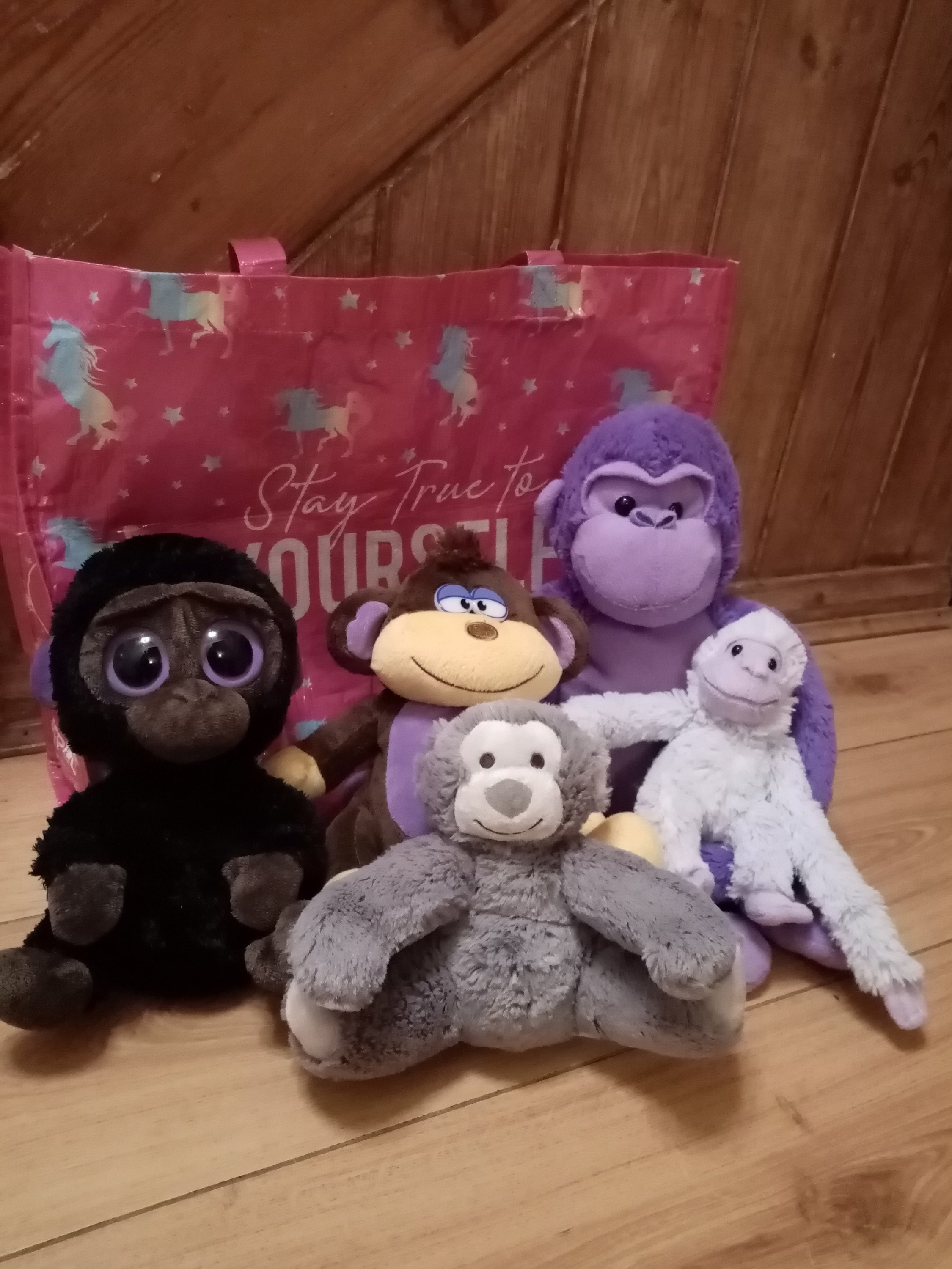 Five Little Monkeys Story Sack Song Prop Bag. EYFS KS1 Etsy