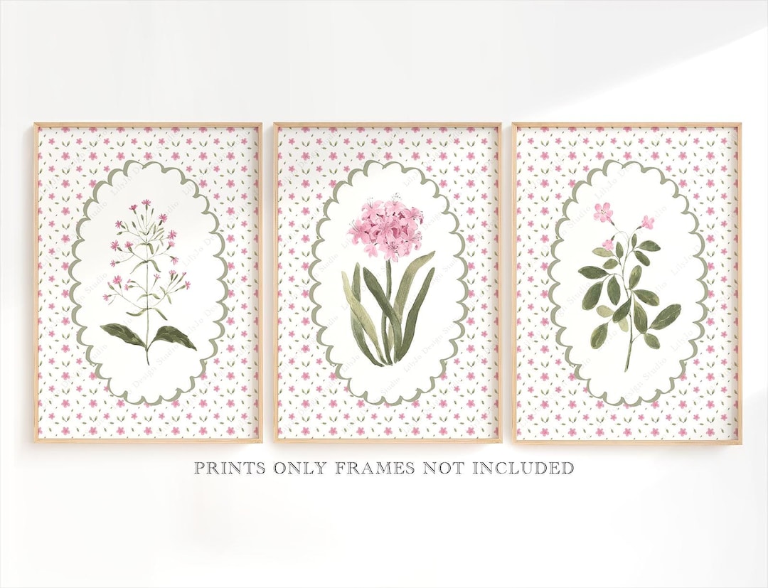 Pink Floral Wall Art Set of 3 Botanical Prints, Pink Flowers - Etsy UK