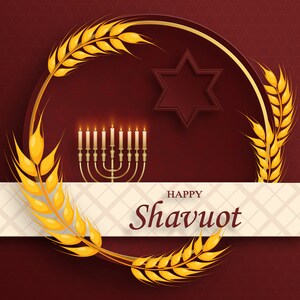 Shavuot Seamless Pattern/Digital Paper/Pattern Pdf Printable/Shavuot Symbols Printable/Shavout/Omer Counting/300dpi/Instant Digital Download image 9