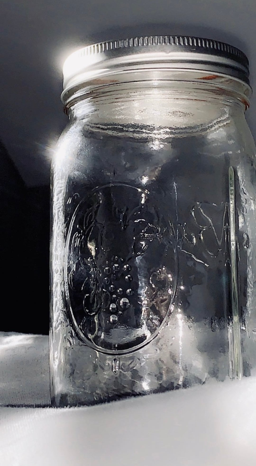 silver-top-extra-large-mason-jar-etsy