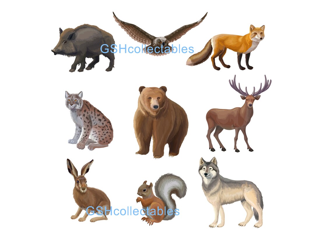 Furniture Decals Waterslide Vinyl Watercolour Wild Collection Etsy