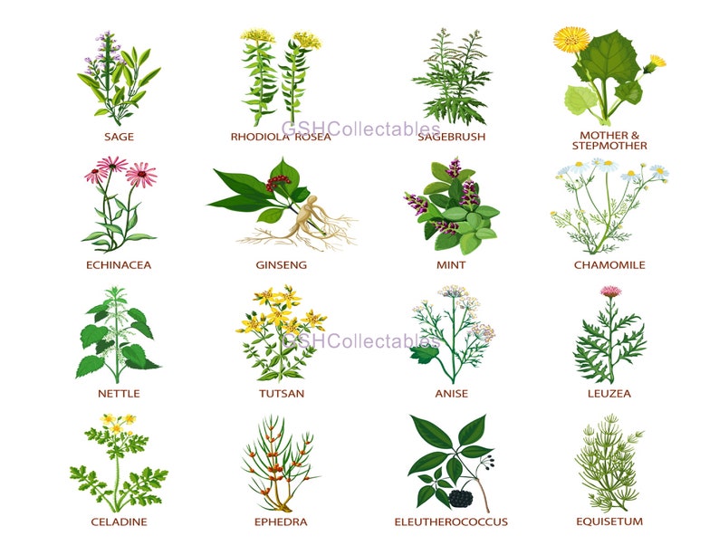 Furniture Decals Waterslide Vinyl Named Herbs UK Etsy