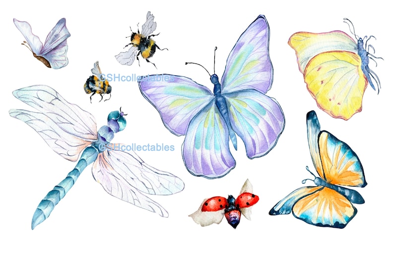 Furniture Decals Waterslide Vinyl Insect Group UK Etsy