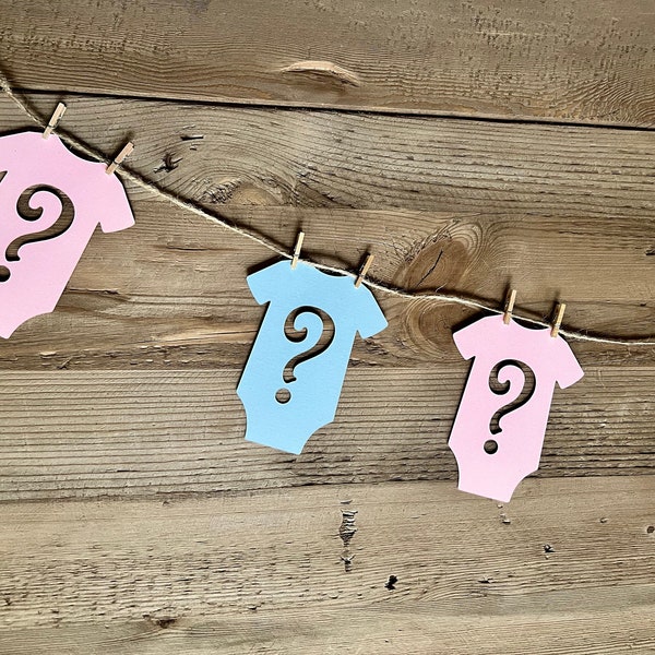 Gender Reveal Onesie Baby Shower Decorations | Bunting Banner | Gender Reveal Decorations | Gender Reveal Baby Shower Decorations