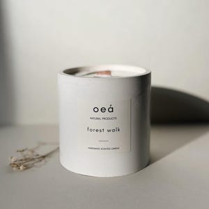Scented candle with forest fragrance in a concrete vessel with wooden wick (240g)