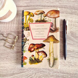 Diario fatto a mano in Francia - rilegato in carta bianca da 130 g in un libro vintage - Funghi autunnali - Quaderno - Riciclo creativo - Illustrazioni