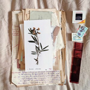Lot de Papiers Vintage - Pages de Livres, Lettres, Photos et Ephemera pour Junk Journal, Scrapbooking & Collage, + de 50 Papiers Français