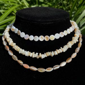 Shell Choker Necklaces