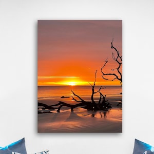 Sunrise on Driftwood Beach  ~ Jekyll Island, Georgia